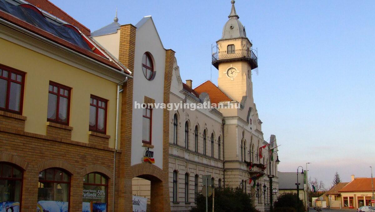 Fotók_ráckevéről_19