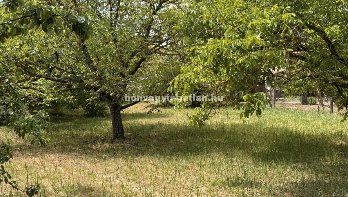 IMG_9130(1)